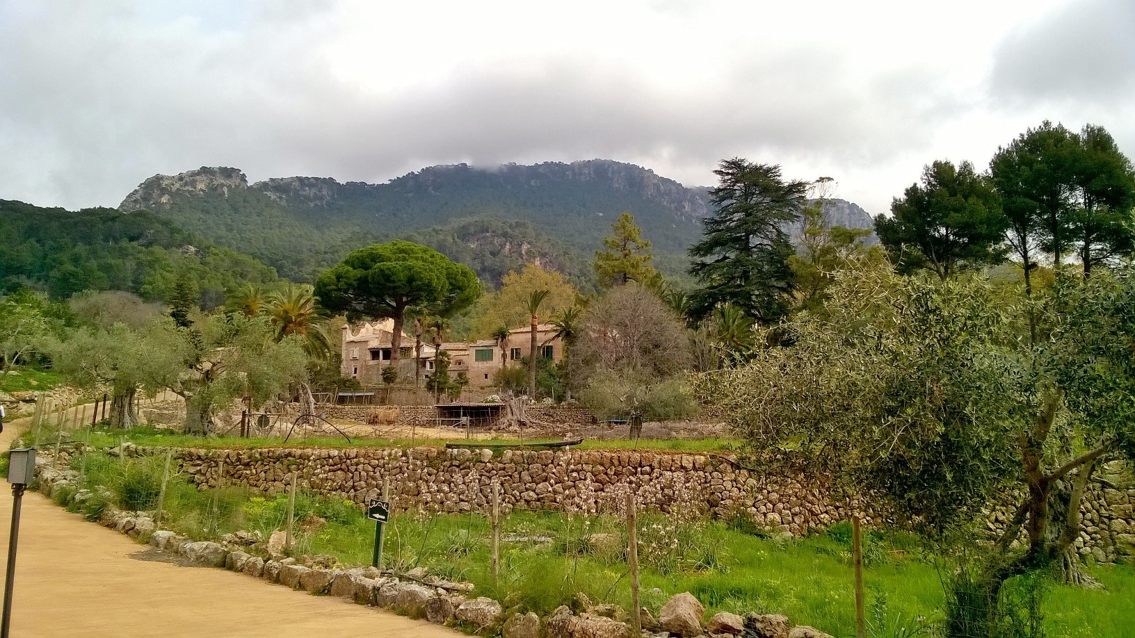 Vintage train ride from Palma to Soller 
