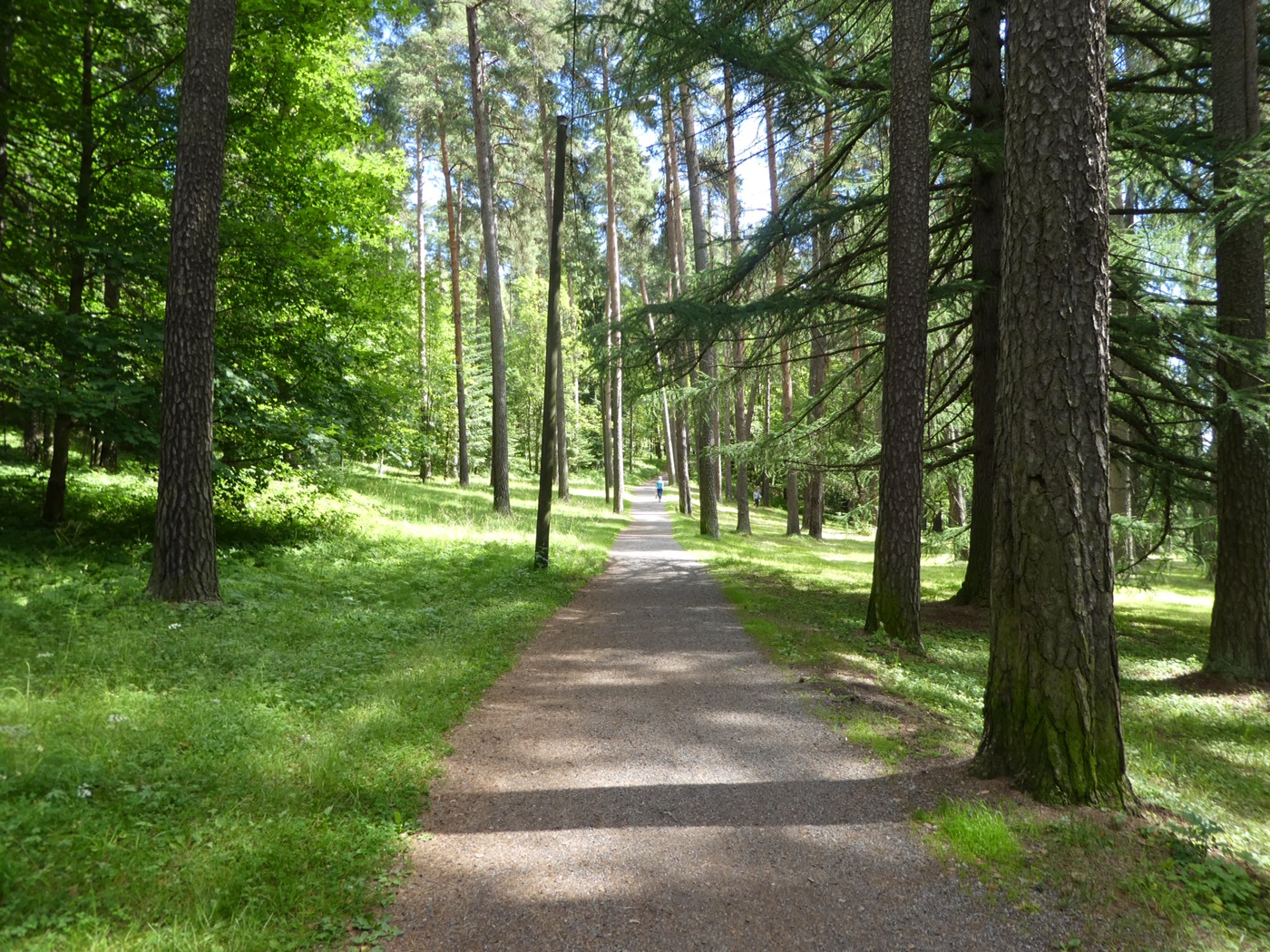 Woodland path in Tampere, Finland 
