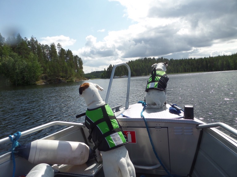 Dogs on boat, Savonlinna, Finland 