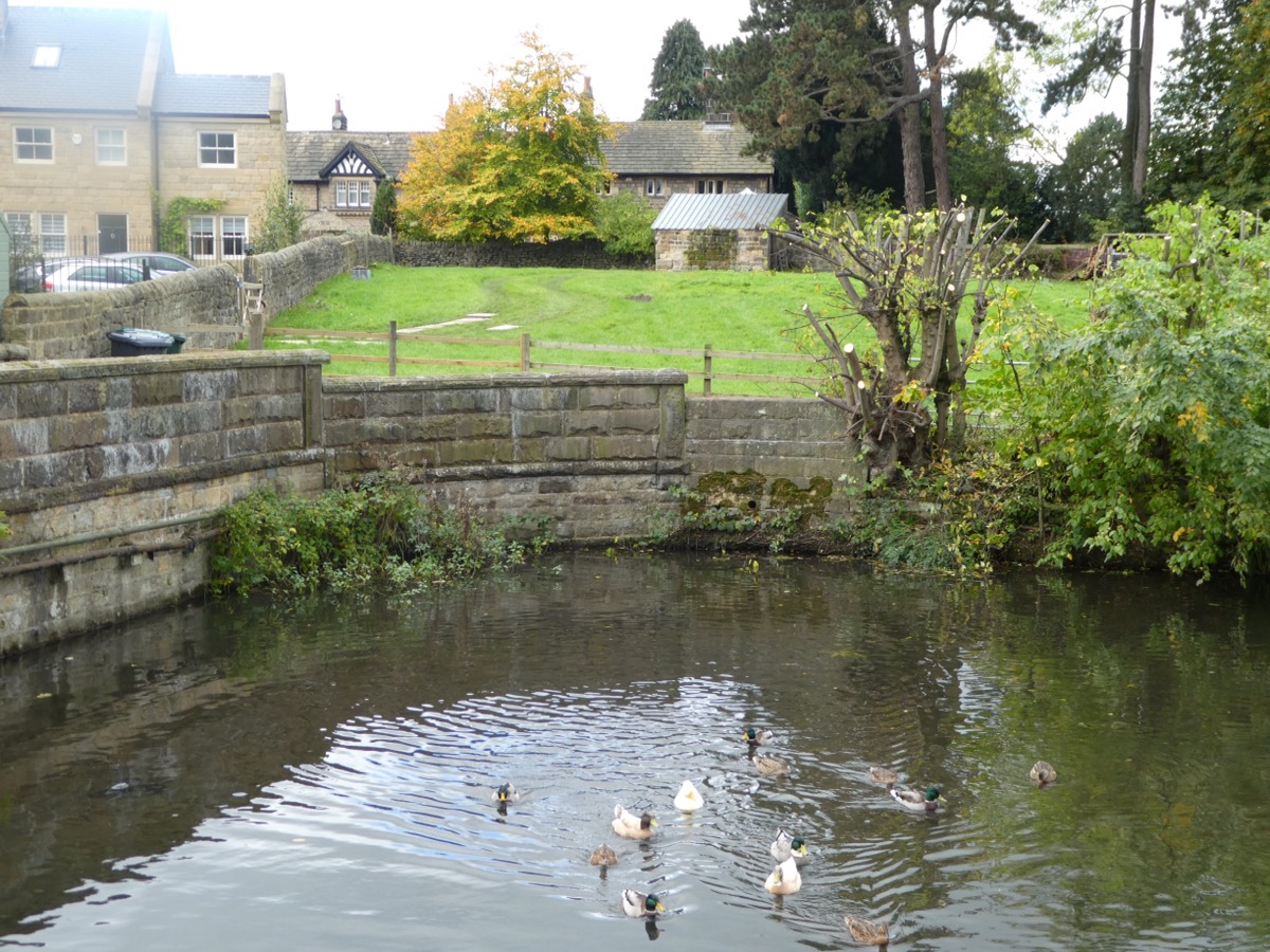 Corn Mill Pond, Burley-in-Wharfedale