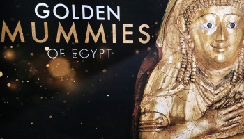 Golden Mummies of Egypt Exhibition, Manchester Museum