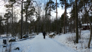 Espoo snow covered trail