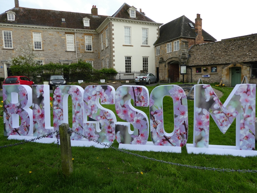Blossom sign in Evesham, Worcestershire