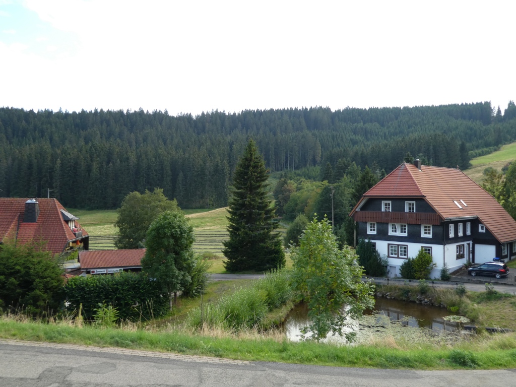 Fischbach, Schluchsee